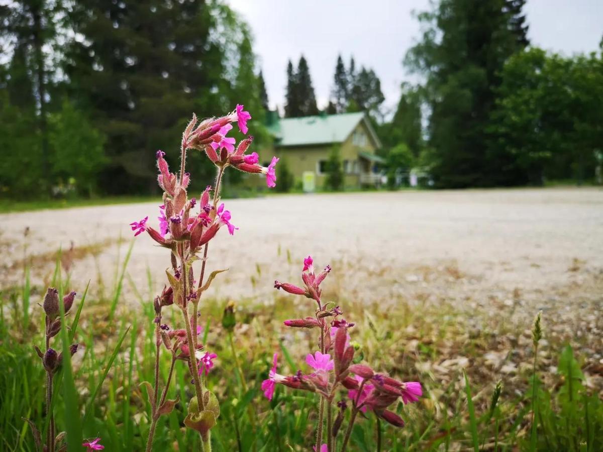 Raate Guest House Suomussalmi Zewnętrze zdjęcie