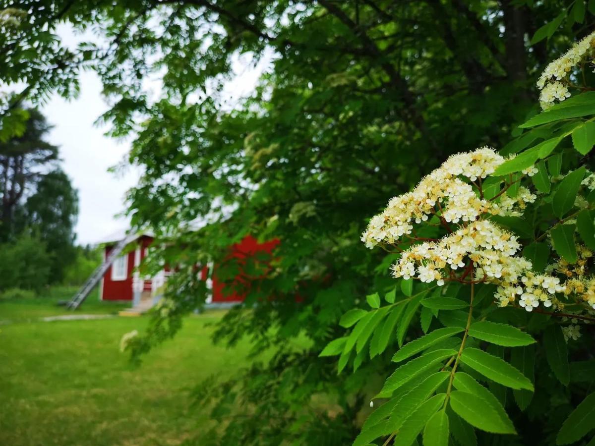Raate Guest House Suomussalmi Zewnętrze zdjęcie